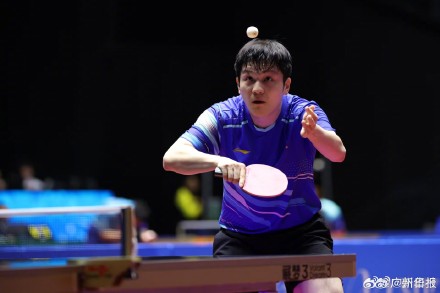 “暴力熊猫”高清图集！樊振东挺进男单8强