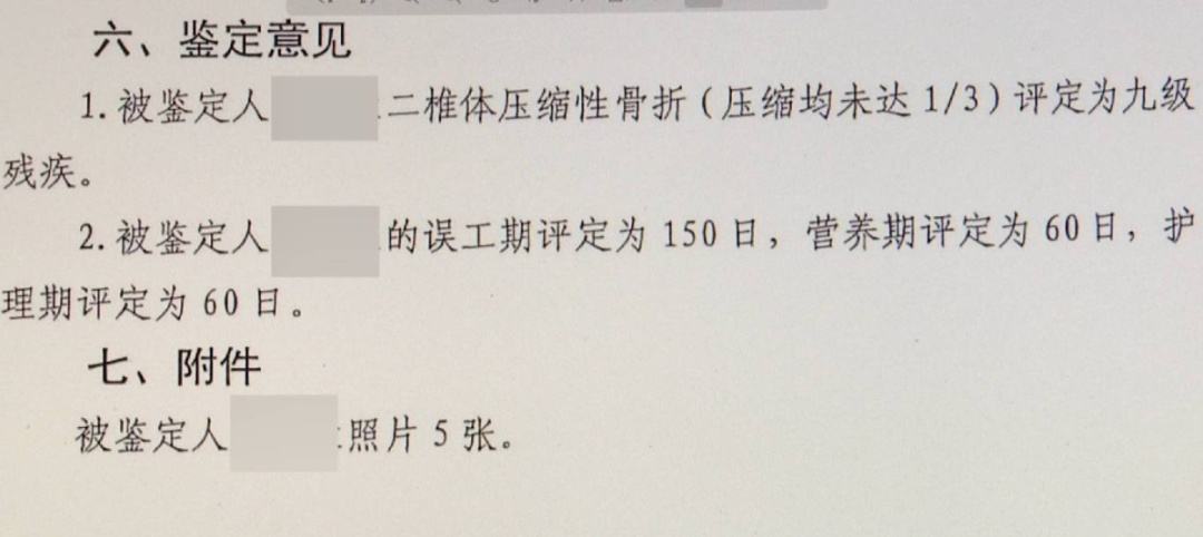 大型犬未拴绳惊倒路人，饲养人赔了28万元