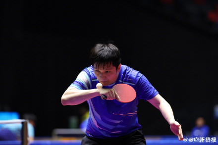 “暴力熊猫”高清图集！樊振东挺进男单8强
