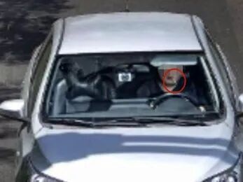 男子开车时嘴里叼牙线被处罚！本人很冤枉：我全程两手握方向盘、目视前方！