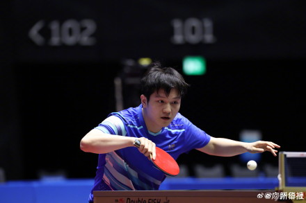 “暴力熊猫”高清图集！樊振东挺进男单8强