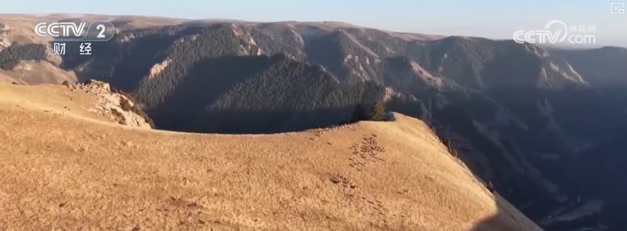 生态美让“稀客”有了安逸“冬季家园” 人与自然和谐共生美好景象频繁上演 生态美让“稀客”有了安逸“冬季家园” 人与自然和谐共生美好景象频繁上演