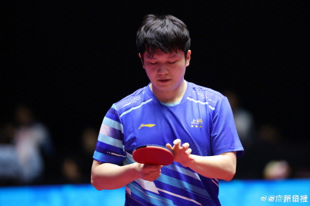 “暴力熊猫”高清图集！樊振东挺进男单8强