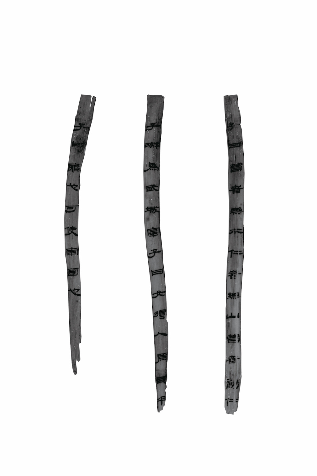 深度解读|十余年修复,秦汉全本《诗经》如何重见天日 深度解读|十余年修复,秦汉全本《诗经》如何重见天日