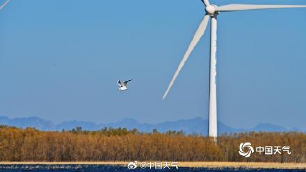 初冬官厅水库：蓝天为幕 绘就水岸澄澈之美