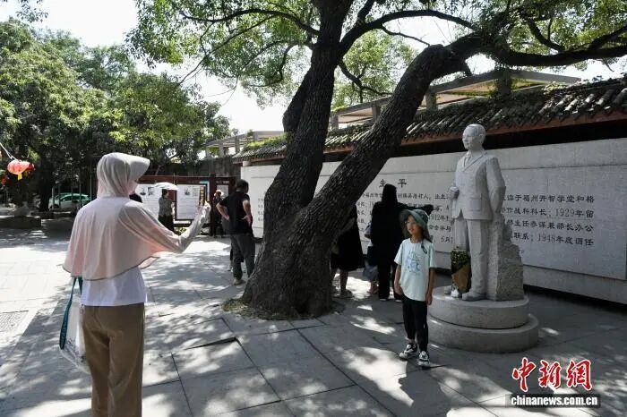 “不忍心看却舍不得停”！《沉默的荣耀》后劲为啥这么大？