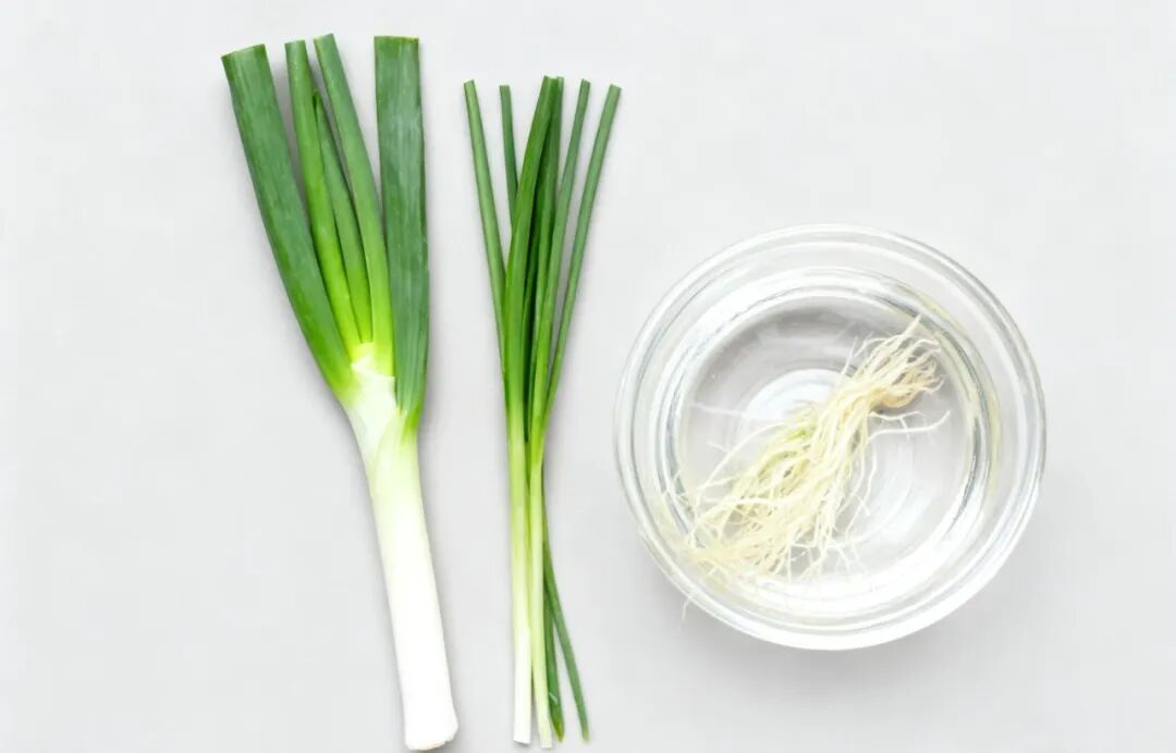 家家都有的它,竟是养生“高手”!抗菌消炎还防癌!这4类人尤其适合 家家都有的它,竟是养生“高手”!抗菌消炎还防癌!这4类人尤其适合