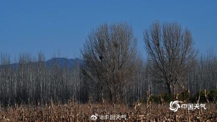 初冬官厅水库：蓝天为幕 绘就水岸澄澈之美