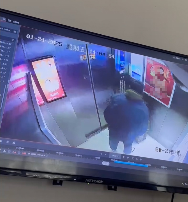 上海一男租客入室抢劫独居女房东获刑13年，房东：他带大行李箱，威胁勒死我后装进去