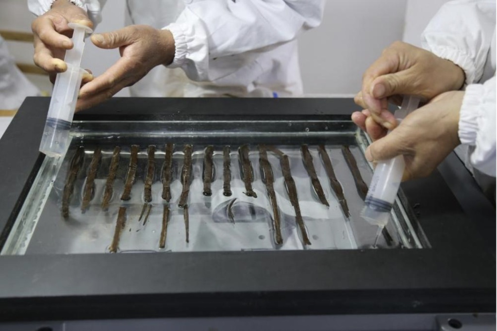 深度解读|十余年修复,秦汉全本《诗经》如何重见天日 深度解读|十余年修复,秦汉全本《诗经》如何重见天日