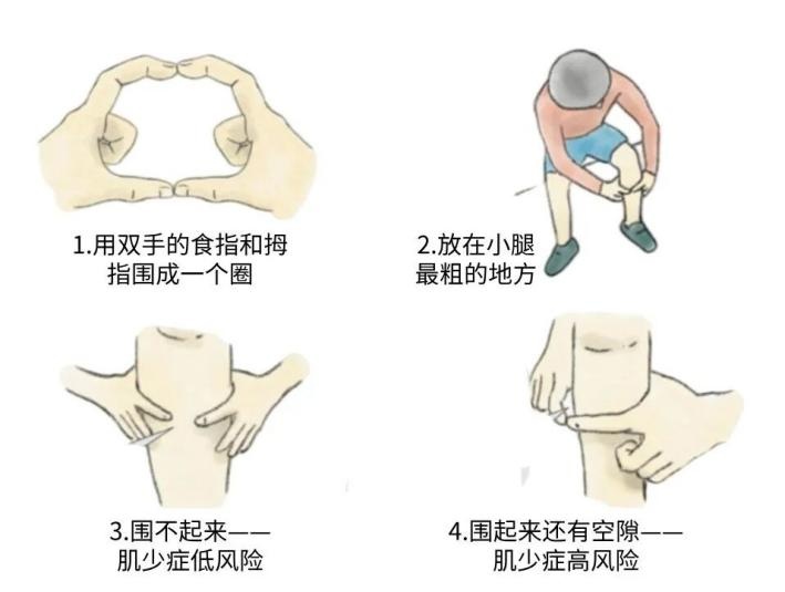 肌肉竟是身体的“抗衰神器”？两招教你轻松“存”肌肉