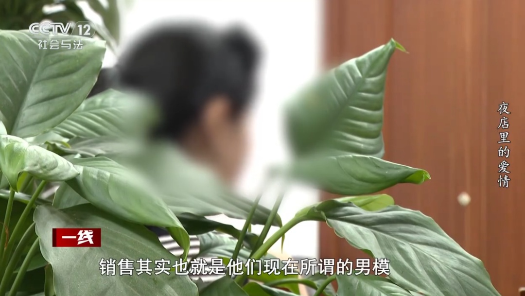 90后男模同时和2位富婆恋爱！46岁女友借款900万：他付出过真心！