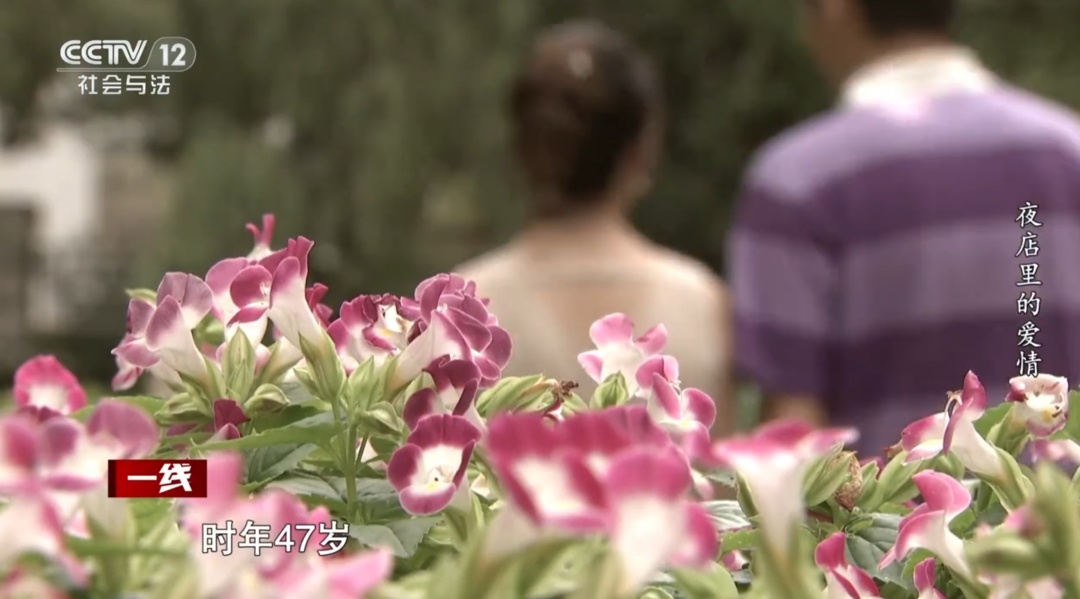 90后男模同时和2位富婆恋爱！46岁女友借款900万：他付出过真心！