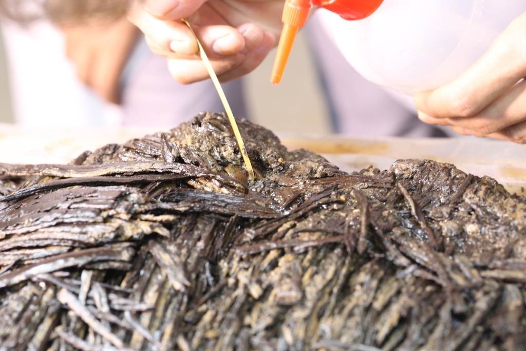 深度解读|十余年修复,秦汉全本《诗经》如何重见天日 深度解读|十余年修复,秦汉全本《诗经》如何重见天日