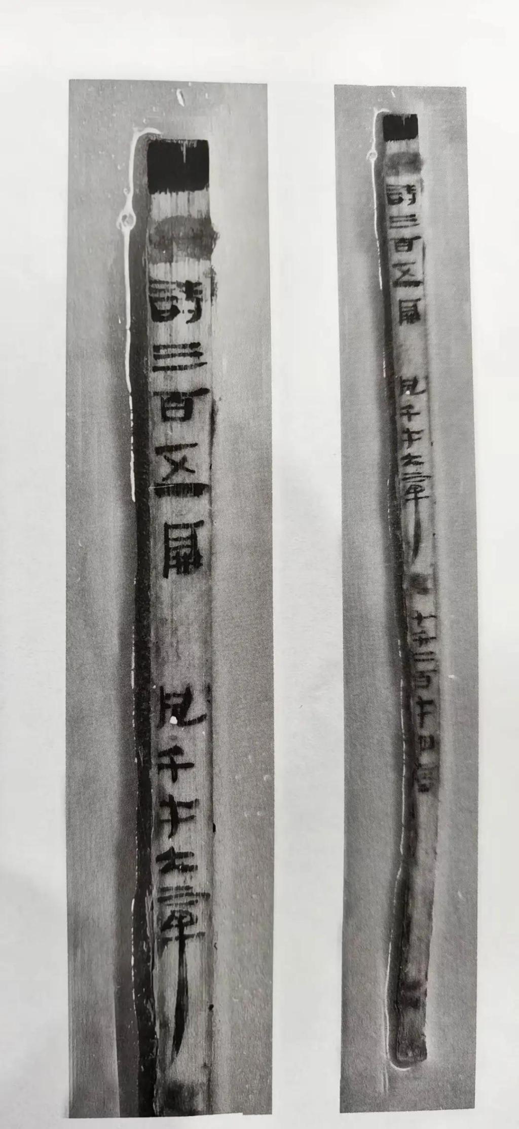 深度解读|十余年修复,秦汉全本《诗经》如何重见天日 深度解读|十余年修复,秦汉全本《诗经》如何重见天日