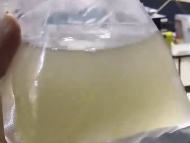 网购50条观赏鱼结果收到一袋水?商家:已退款,路上被煮化了…… 网购50条观赏鱼结果收到一袋水?商家:已退款,路上被煮化了……