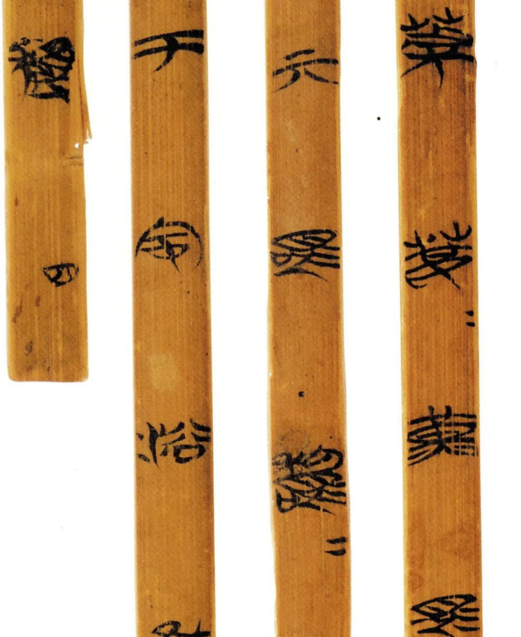 深度解读|十余年修复,秦汉全本《诗经》如何重见天日 深度解读|十余年修复,秦汉全本《诗经》如何重见天日