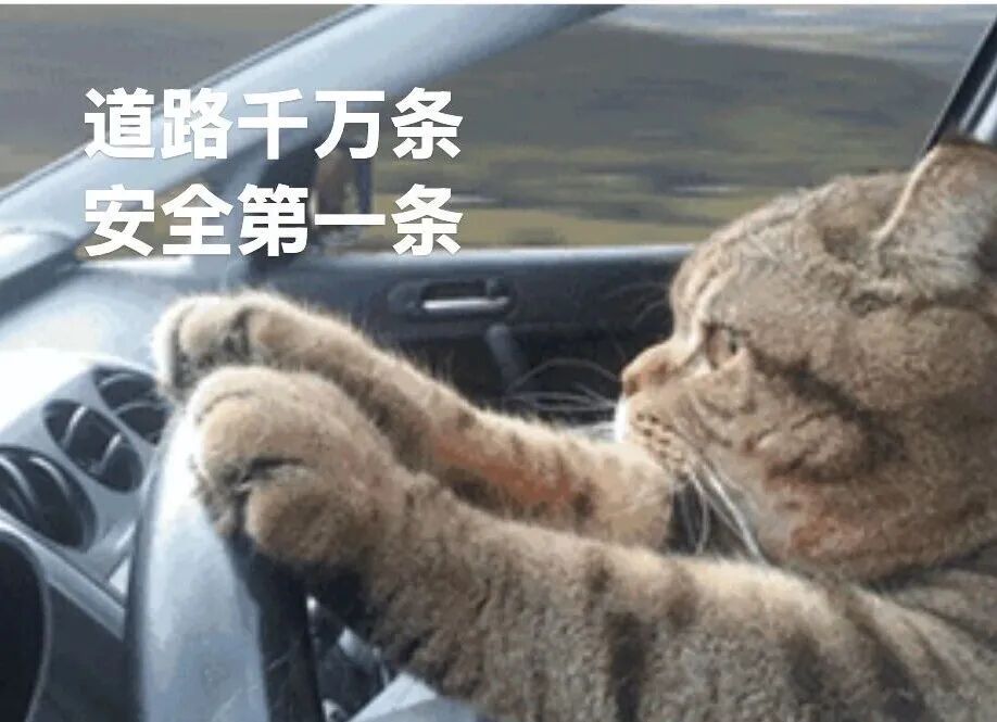 全网热议！男子开车“叼牙线棒”被罚，当地：原认定不当，已撤销！这些行为违规吗？