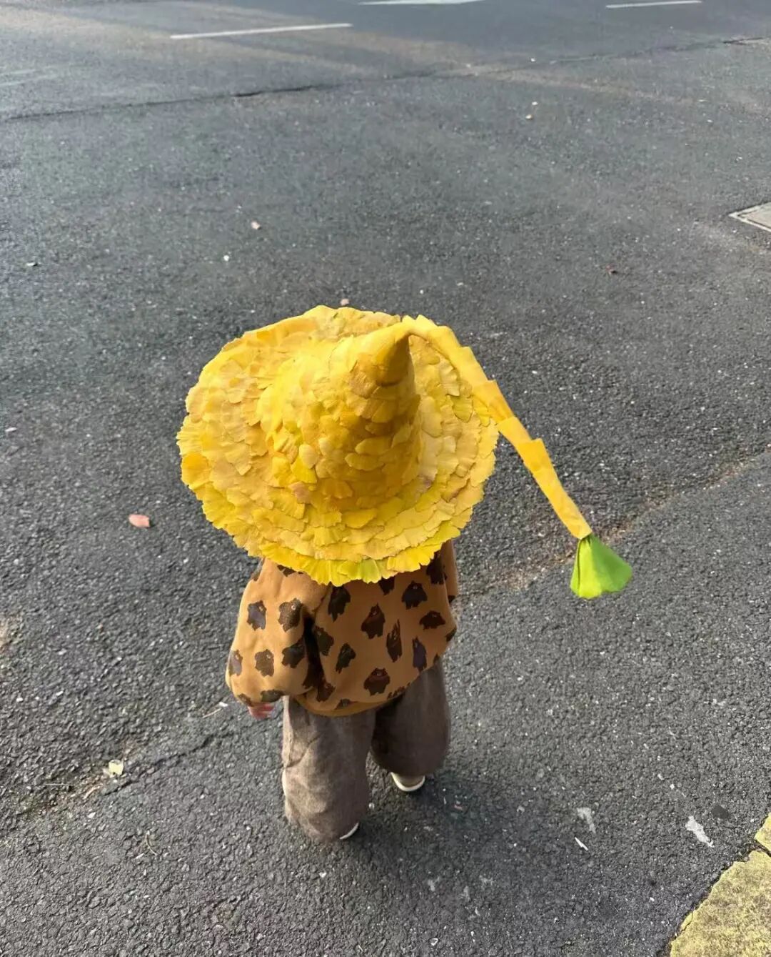 全网刷屏!我也好想拥有“银杏伞” 全网刷屏!我也好想拥有“银杏伞”