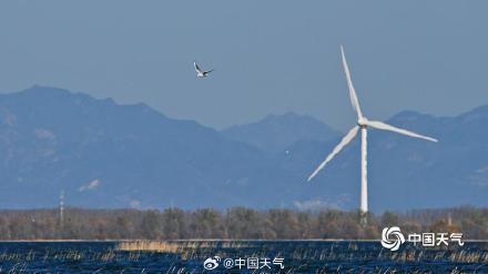 初冬官厅水库：蓝天为幕 绘就水岸澄澈之美