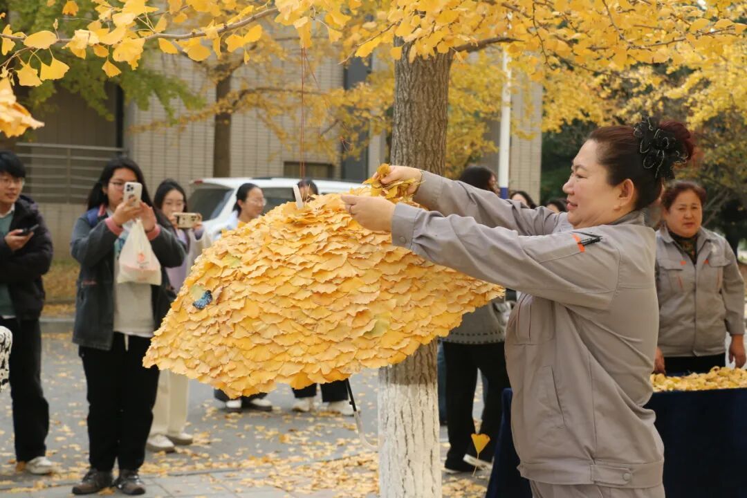 全网刷屏!我也好想拥有“银杏伞” 全网刷屏!我也好想拥有“银杏伞”