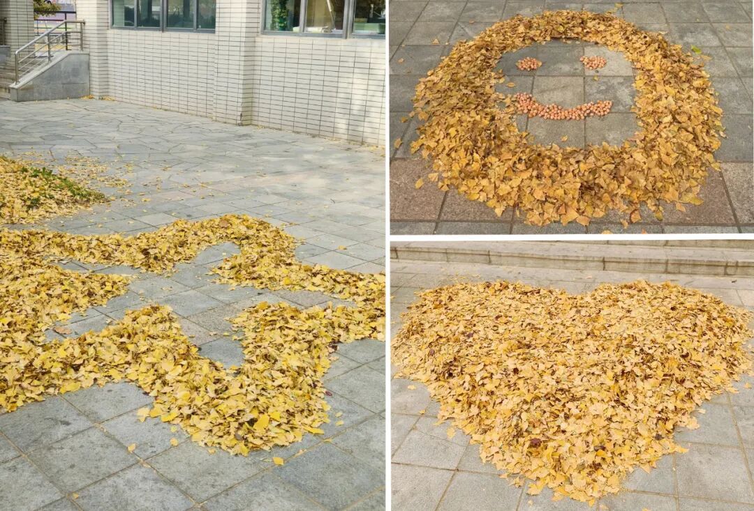 全网刷屏!我也好想拥有“银杏伞” 全网刷屏!我也好想拥有“银杏伞”