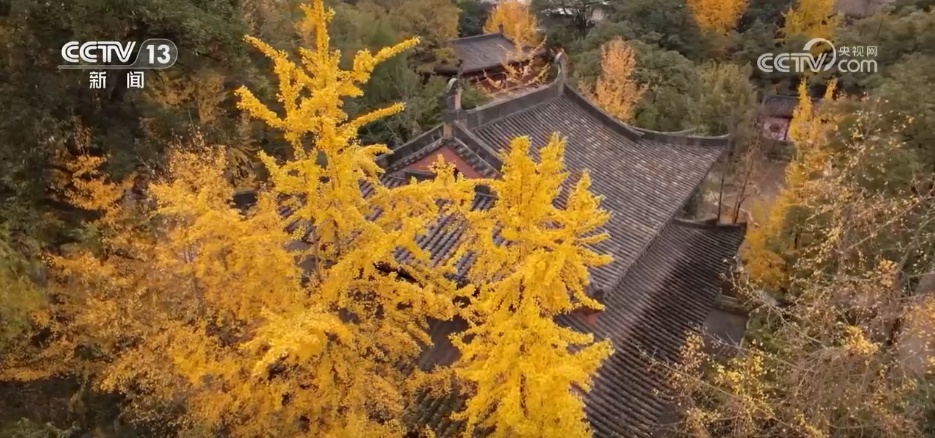 秋假游带热多地景区 “专属优惠+特色活动”释放文旅消费活力