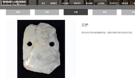 福州一男子草丛捡到新石器时期贝铲?相关博物馆:属昙石山文化时期务农工具 福州一男子草丛捡到新石器时期贝铲?相关博物馆:属昙石山文化时期务农工具