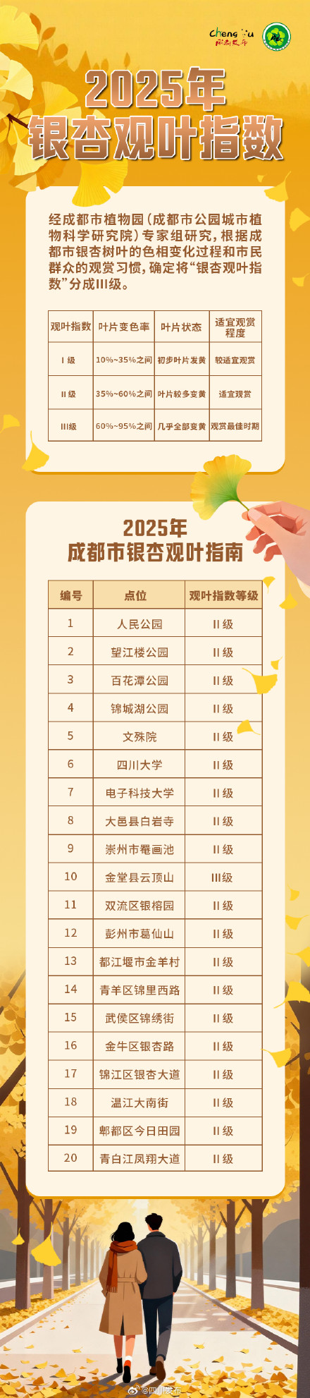 成都银杏观叶指数发布!一地已达最佳观赏期 成都银杏观叶指数发布!一地已达最佳观赏期