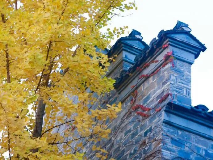 注意,大雾黄色预警!明晨沿淮淮北地区和淮河以南西部地区有雾或浓雾 注意,大雾黄色预警!明晨沿淮淮北地区和淮河以南西部地区有雾或浓雾