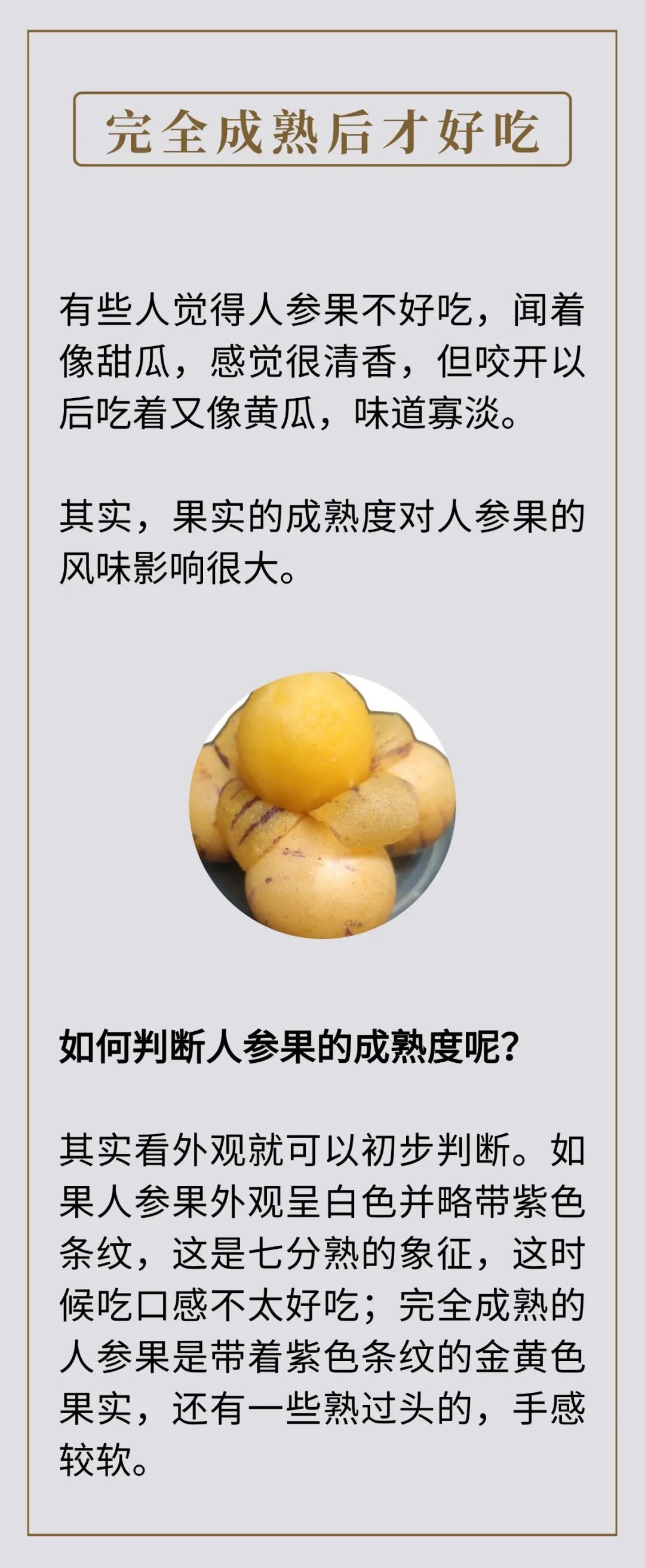 维C含量很高，这种水果界的“人参”，错过太可惜