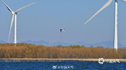 初冬官厅水库：蓝天为幕 绘就水岸澄澈之美
