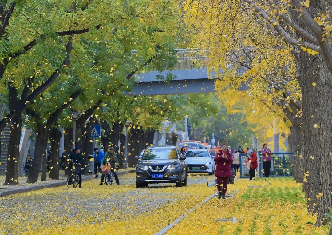 大幅降温、多地有雨雪！下半年首场寒潮来袭
