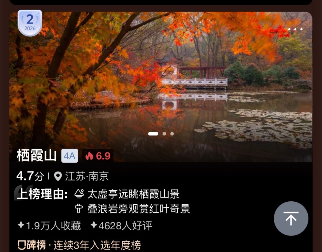 南京枫叶:我想“红”了 南京枫叶:我想“红”了