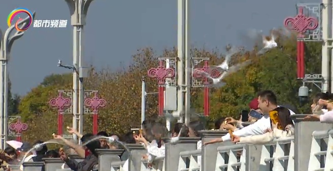 又有游客在昆明海埂大坝抓鸥拍照！警方提醒：最高可罚款500元