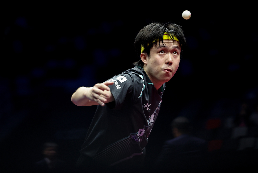 明日全运会乒乓球赛场，樊振东王楚钦或将两次交手