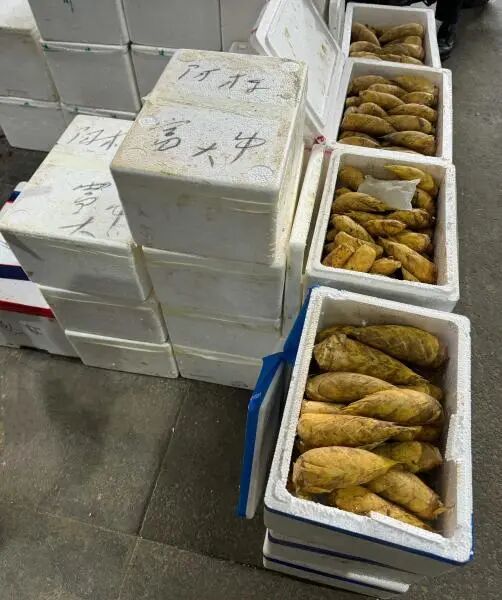 宁波人惦记的冬笋、雷笋已悄然上市，价格令人咋舌……