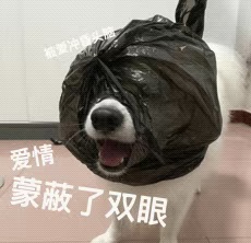 谈外籍男友，女博士闯大祸！详情披露