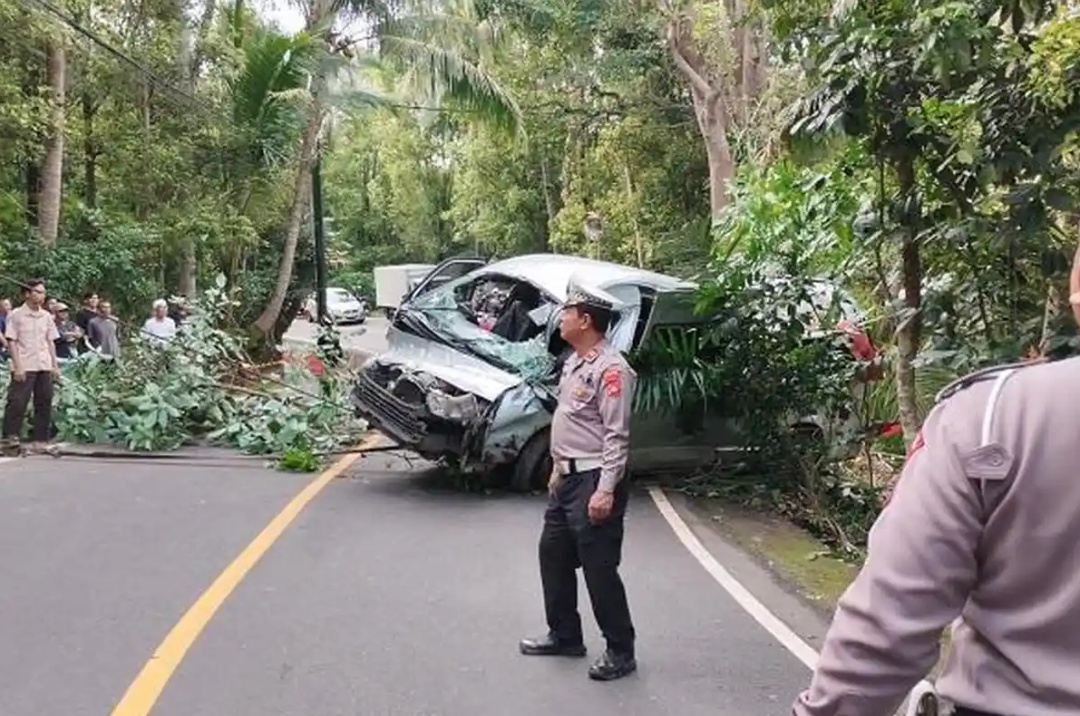 5名中国公民遇难！巴厘岛突发车祸，现场曝光