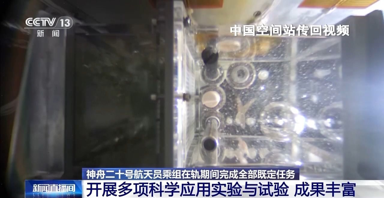 在轨驻留203天 神二十乘组完成了哪些任务? 在轨驻留203天 神二十乘组完成了哪些任务?