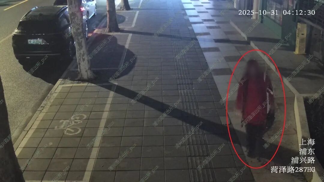 上海一男子穿裙子、戴假发去卤鹅店偷窃,被警方抓获 上海一男子穿裙子、戴假发去卤鹅店偷窃,被警方抓获