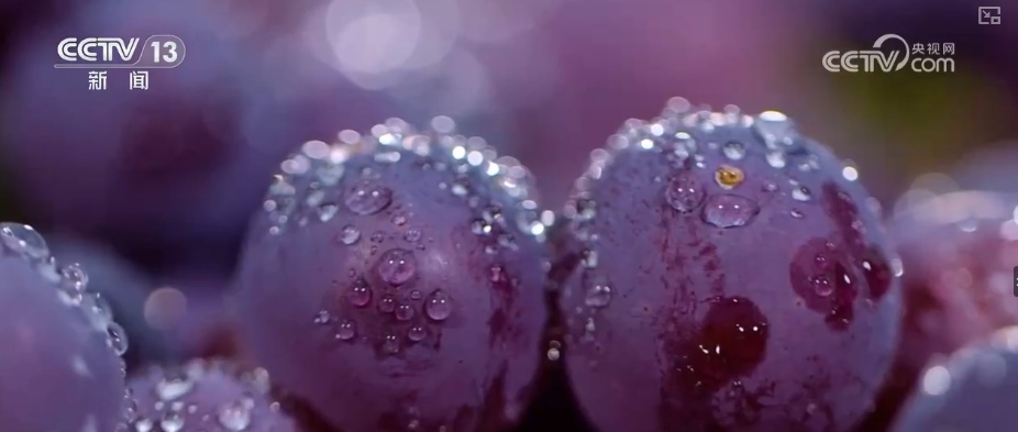 以“水”为绸带串起“亲水共富”新产业链 以水促富“亲水经济”活力迸发 以“水”为绸带串起“亲水共富”新产业链 以水促富“亲水经济”活力迸发