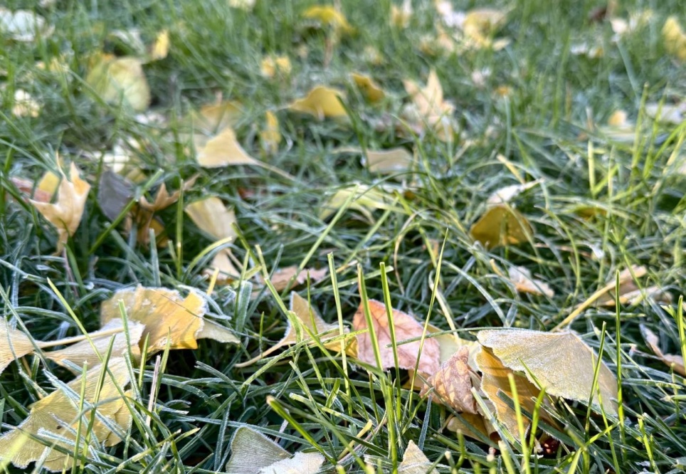 寒潮预警，“速冻”开启！辽宁迎来“下半年以来最强冷空气”