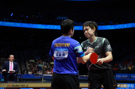 点赞！樊振东王楚钦握手致意