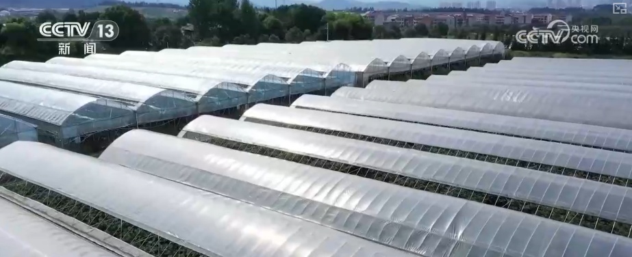 以“水”为绸带串起“亲水共富”新产业链 以水促富“亲水经济”活力迸发 以“水”为绸带串起“亲水共富”新产业链 以水促富“亲水经济”活力迸发