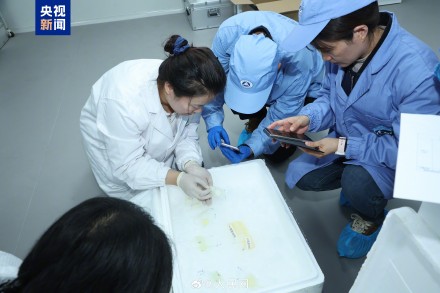 航天员带回了近100斤太空特产