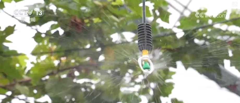 以“水”为绸带串起“亲水共富”新产业链 以水促富“亲水经济”活力迸发 以“水”为绸带串起“亲水共富”新产业链 以水促富“亲水经济”活力迸发