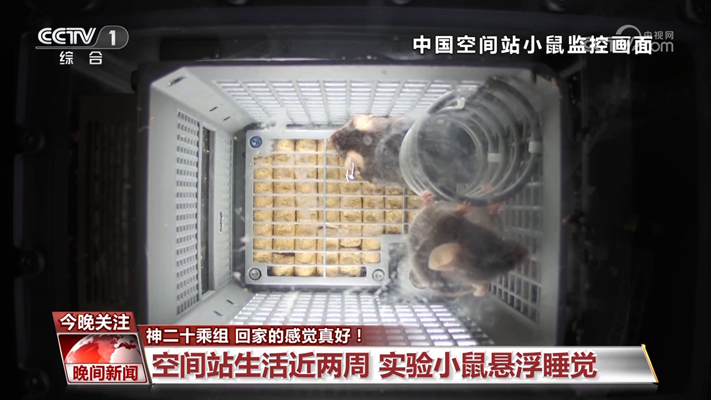 地球“第一餐”、最动人的一刻、悬浮睡觉的实验小鼠……关于神二十乘组 你关心的答案都在这