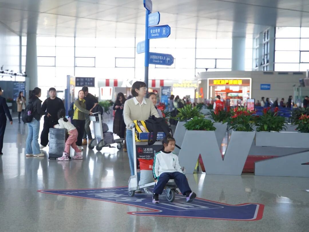 温州孩子的秋假来了！机场、动车站是这样的……