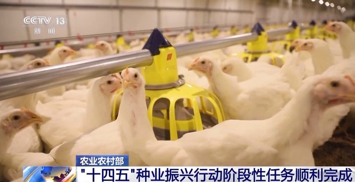 我国“十四五”种业振兴行动阶段性任务顺利完成